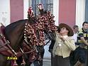 Andalusie 2008 177